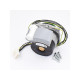 Двигатель насоса Duca (аналог Wilo INTVACL 15/5-2, 15/6.7-2) для Protherm Гепард, Пантера (0020197548) 0020197549, 0020097216