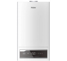 Настенный газовый котел Haier ProLine 2.24 Ti