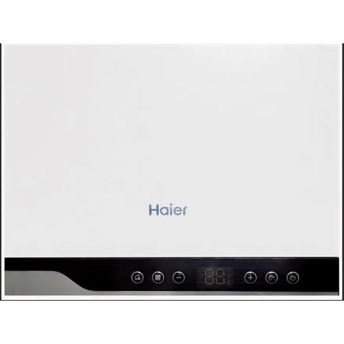 Настенный газовый котел Haier TechLine 1.24 Ti