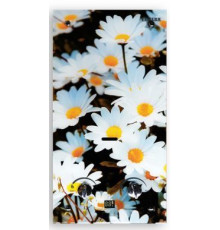 Газовая колонка Vilterm S10 Glass (ромашки)